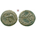 Roman Provincial Coins, Phoenicia, Berytus, Augustus, AE 27 BC-14 AD, nearly vf