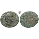 Roman Provincial Coins, Phrygia, Apameia, Vespasian, AE, vf