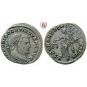 Roman Imperial Coins, Diocletian, Follis 302-303, xf / vf-xf