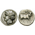Italy-Campania, Neapolis, Didrachm 290-270 BC, good vf / vf