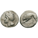 Italy-Lucania, Velia, Didrachm 334-300 BC, vf / vf-xf