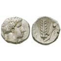 Italy-Lucania, Metapontum, Stater 340-330 BC, vf-xf/xf-FDC