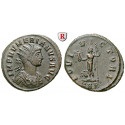 Roman Imperial Coins, Numerianus, Antoninianus, xf