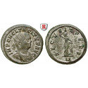 Roman Imperial Coins, Tacitus, Antoninianus 276, xf