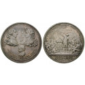 Mexico, Carlos III., Silver medal 1785, xf