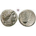 Italy-Lucania, Metapontum, Stater 335-330 BC, xf