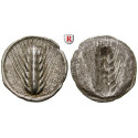 Italy-Lucania, Metapontum, Stater 510-470 .BC, good vf