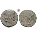 Seleukis and Pieria, Antiocheia ad Orontem, Bronze 19 = 48-47 BC, vf
