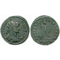 Roman Imperial Coins, Diocletian, Antoninianus 285 AD, vf
