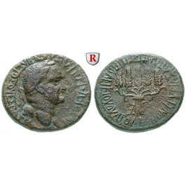 Römische Provinzialprägungen, Phrygien, Apameia, Vespasianus, Bronze, ss