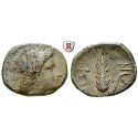 Italien-Lukanien, Metapont, Stater 330-300 v.Chr., ss