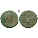 Römische Provinzialprägungen, Seleukis und Pieria, Seleukeia, Septimius Severus, Bronze 177-180 n.Chr., s