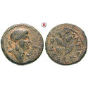 Römische Provinzialprägungen, Seleukis und Pieria, Antiocheia am Orontes, Nero, Bronze Jahr 104 = 55-56 n.Chr., f.ss