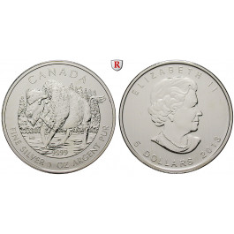 Kanada, Elizabeth II., 5 Dollars 2013, 31,07 g fein, bfr.