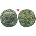 Römische Provinzialprägungen, Seleukis und Pieria, Antiocheia am Orontes, Traianus, Bronze 102-114, ss