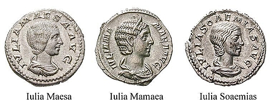 Julia Domna, Frau des Septimius Severus